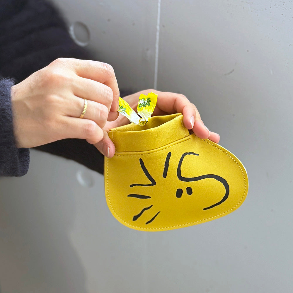 [PEANUTS] PN/POY DIE CUT(送料無料/ゆうパケット)
