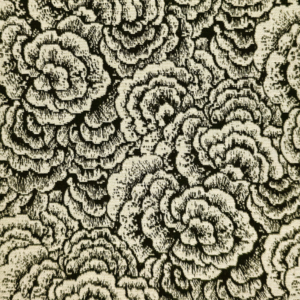 [etoffe] SAFECO NIMBUS BLAC NOIR