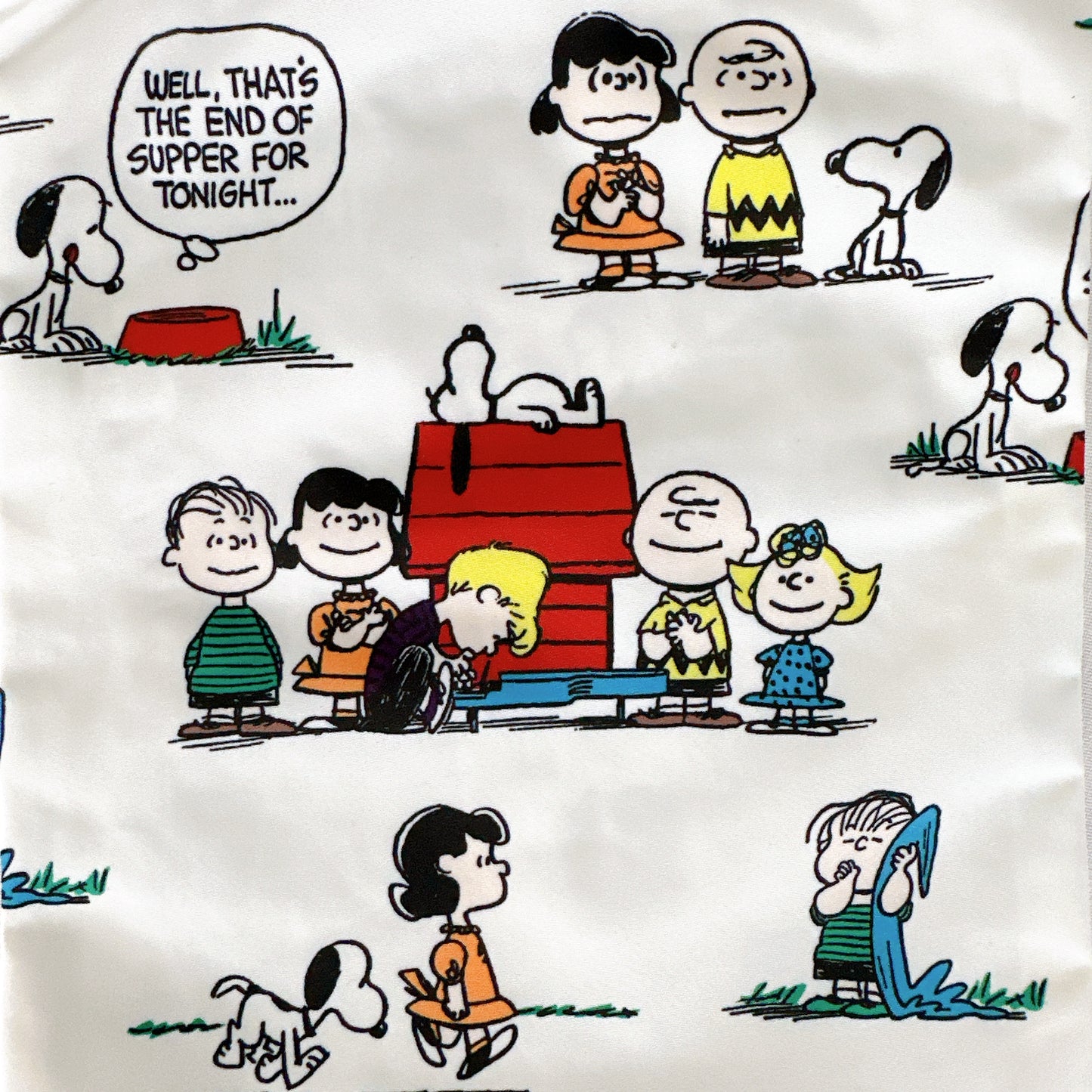 [PEANUTS] PN/撥水マルチポーチ M(送料無料/ゆうパケット)