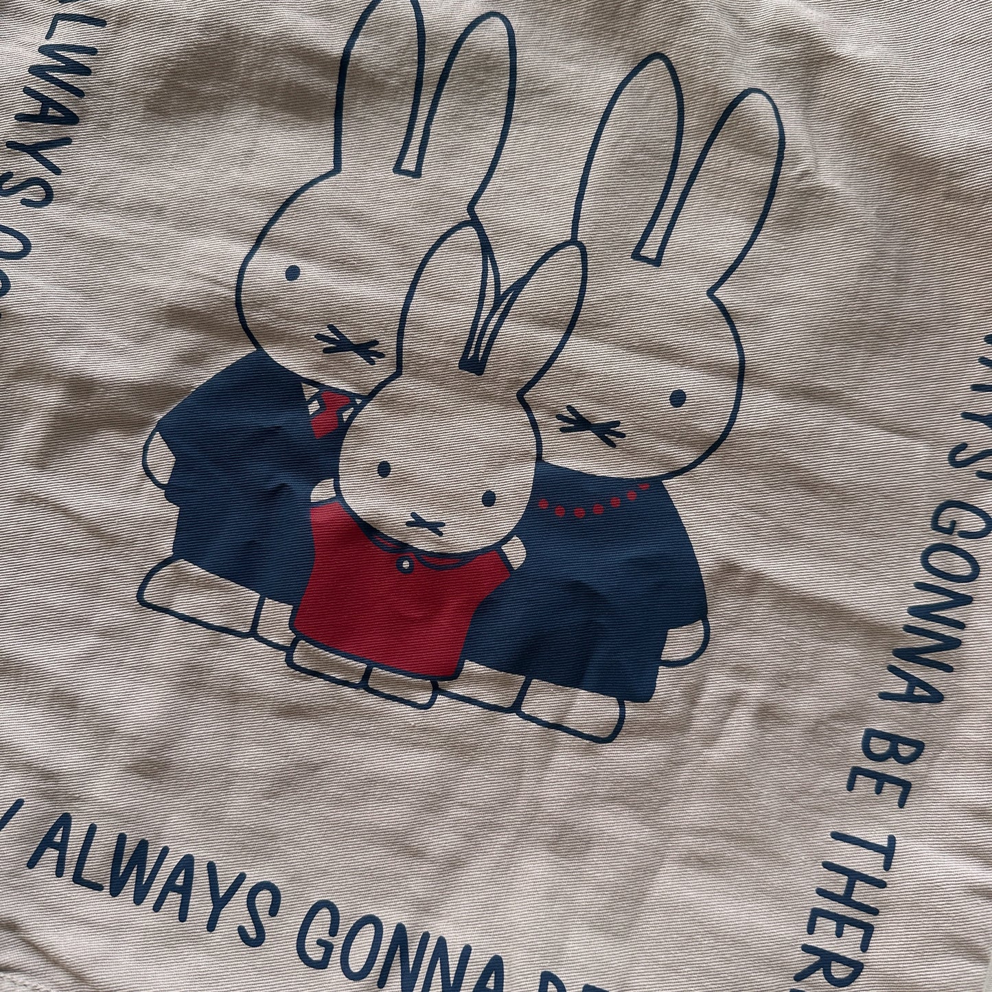 [Dick Bruna] コレクターズサック(送料無料/ゆうパケット)