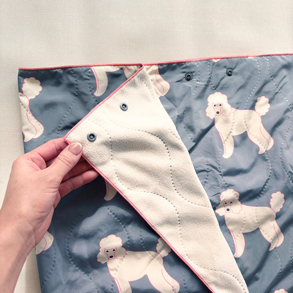 [PAQUET] CULUMU/アニマル