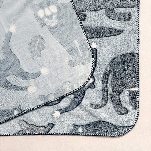 [PAQUET] ファニーブランケットM