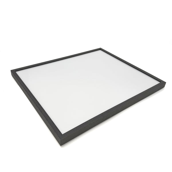 [ATPPL] Poster Frame / LL size