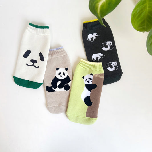 [PANDA]パンダBOTOCO