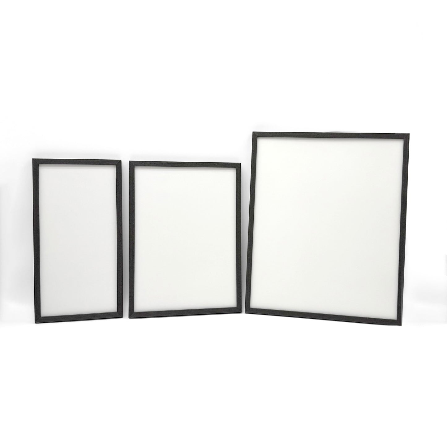 [ATPPL] Poster Frame / M size